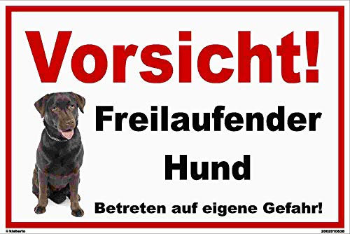 Schild 45 x 30 cm - Labrador Vorsicht freilaufender.. - Aluminiumverbundpl.