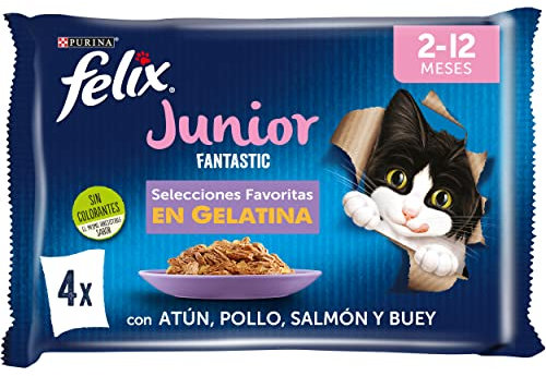 PURINA FELIX Herren Fantastic Junior, braun, 48 sobres de 85g (12er Pack)