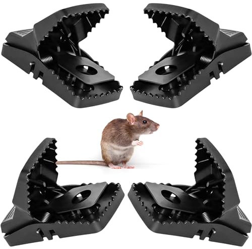 BATUUTAH 4 Pack 14CM Rat Traps – Instant Kill, Non-Toxic Snap Traps – Heavy Duty Rodent Control for Indoor & Outdoor Use – Reusable & Easy to Set Mouse Traps