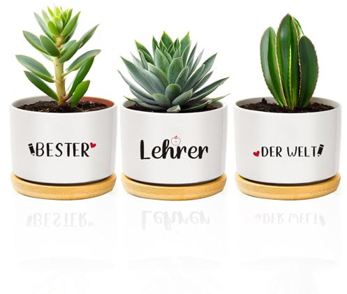 coTaSiEY Lehrer Geschenk, Beste Lehrer Blumentopf BlumentöPfe Dankeschön Erzieher Abschiedsgeschenk Weihnachten Geschenk Zum Abschied Erzieher Ideen Teacher Appreciation Gifts