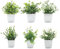 QINGYIWL 6PCS Petite Plante Artificielle Plastik Künstliche Pflanzen mit Topf Deko Interieur Pflanzen für Büro Haus Schlafzimmer Wohnzimmer Badezimmer