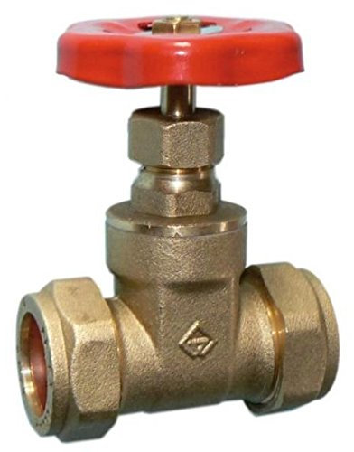 28mm Economy Gate Valve - Bag of 2