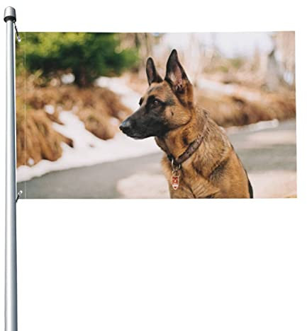 Flaggen, Malinois-Hund Fahnen Gartenflagge Dekorative Hofbanner lichtbeständig Rasenbanner Feiertagsdekoration Flagge für Innendekoration im Freien