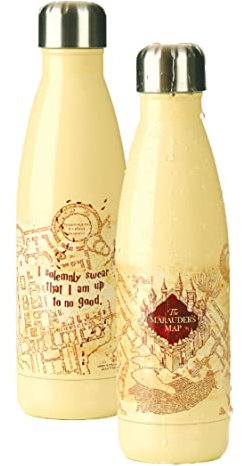 Harry Potter Marauders Map Water Bottle - Officially Licensed Leakproof Metal Bottle for Hot and Cold Beverages, 500ml (17 oz), Gift for Potter Fans | Paladone