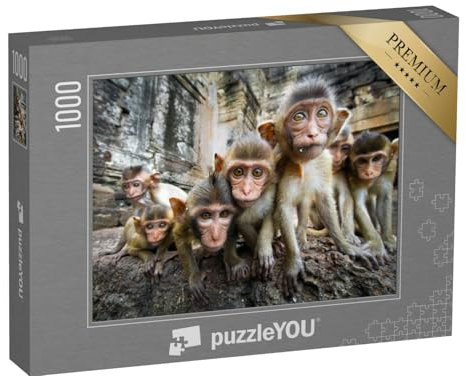 puzzleYOU: Puzzle 1000 Teile „Neugierige Affenbabys, Lopburi, Thailand“ – aus der Puzzle-Kollektion Affen, Tiere in Dschungel & Regenwald