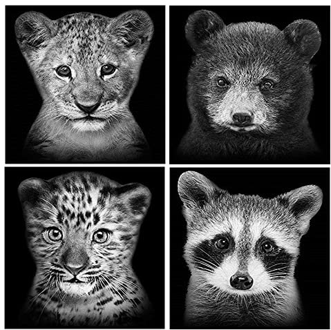 DCIDBEI Diamond Painting 4er Set 30x30 cm Diamant Painting Bilde Tiere Malen Nach Zahlen Löwe Diamond Painting Leopard Kreuzstich Diamant Malerei Diamond Painting Waschbär Löwe Bär Schwarz Weiss