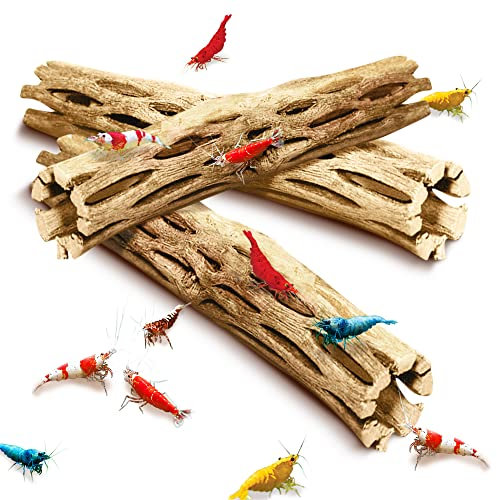 SunGrow Natural Cholla Bois, 3 pièces, 12,7 cm de Long : Décoration d'aquarium et Jouets à mâcher pour Petits Animaux