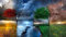 ClassicJP Puzzle 1000 Teile für Erwachsene Puzzle Landschaften, Natur, Morgendämmerung, Herbst, Baum Für Freund Kinder Familien Geburtstagsgeschenk