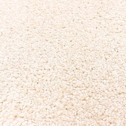 Tuda Carpets | Imperial 6.5mm Pile Budget Carpet with Felt Backing, 8.5mm Total Height | Champange (60) - 4m x 7.5m (13ft1 x 24ft7)