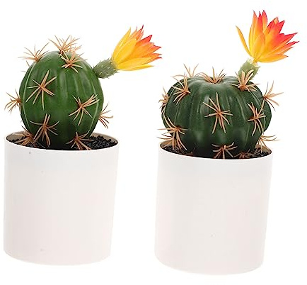 DECORNIJIA 2 pezzi Bonsai Cactus Design Realistico Decorazione da e Ufficio Artificiale e Naturale