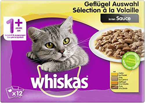 Whiskas 1 + Katzenfutter – Geflügel-Auswahl in Sauce – Schmackhaftes Feuchtfutter für eine gesunde Katze – 48 Portionsbeutel à 100g