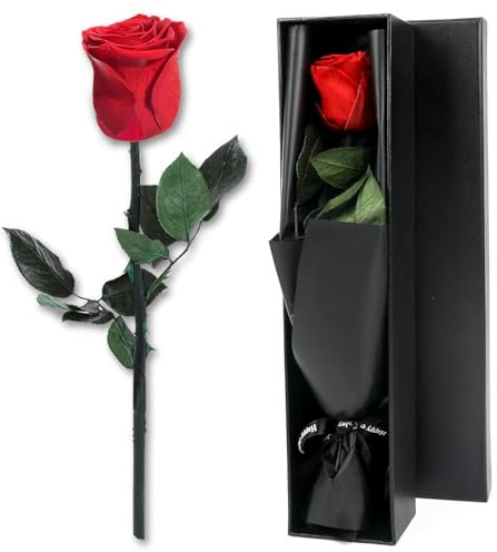 Joollurm eterni regali di rose rosse per le donne, fiori di rosa vera conservati con gambo in squisita confezione regalo per ragazze mamma moglie San Valentino anniversario compleanno regalo di nozze