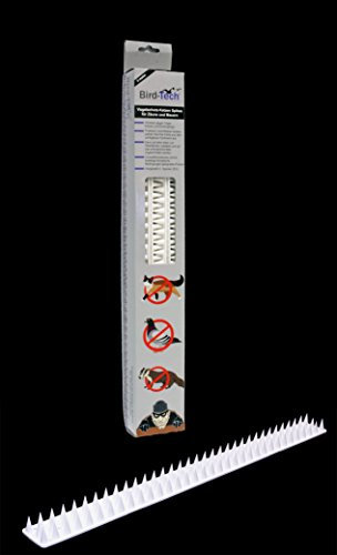 3 Metros en Piezas de 50cm Pinchos Anti-aves y anti-gatos 10 Polipropileno anti UV (blanco)