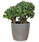 botle Blumentopf Pflanzkübel Pflanzgefäß Übertopf Kunststoff Glanz Rund Grau D 180 mm H 159 mm