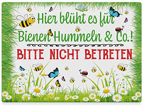 PR Print Royal Metallschild für den Garten - Hier blüht es für Bienen & Co - Geschenk für Gärtner, Gartenschild für draußen, Outdoorschild aus Aluminium | Wetterfest, 28x20 cm