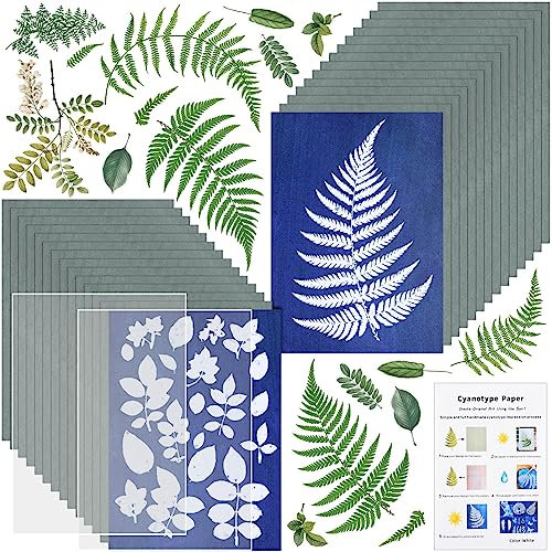 Sun Print Paper Kit, Cyanotype Paper, 30 Blatt Cyanotyp-Papier mit 2 Blatt Acrylplatte, hochempfindliche Natur, Sonnen-/Solaraktivierter Sonnendruck, Kunstpapier für Blumenpresse, Kunst, Handwerk,