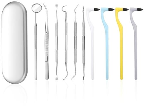 Scettar 11 Piezas Kit de Dentista Para Eliminar el Sarro, Kit Limpieza Dental Quita Sarro Dental Sarro Dental Limpiador Dental Cuidado Kit con estuche, Diente Relleno Reparación Juego Acero Inoxidable
