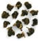 Taiwanese Milk (Jin Xuan) Premium Loose Leaf Oolong Tea - Chiswick Tea Co - 50g