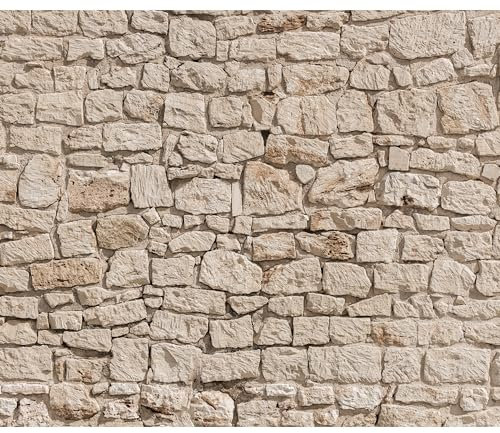 Fototapete murando Steinoptik 400x280 cm Vlies Tapeten Wandtapete XXL Moderne Wanddeko Design Wand Dekoration Wohnzimmer Schlafzimmer Büro Flur Steintapete beige Steine Mauer 3D