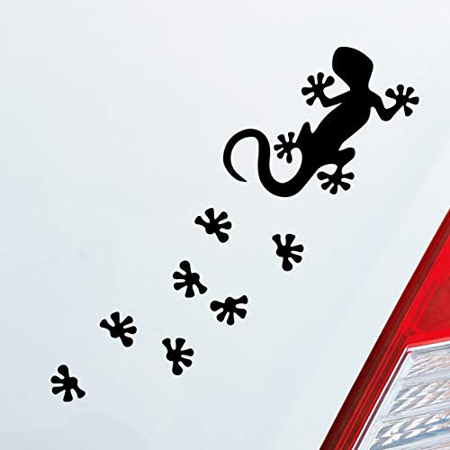 Hellweg Druckerei Salamander Agame Echse Lizard Fußspuren Auto Aufkleber Sticker Heckscheibenaufkleber