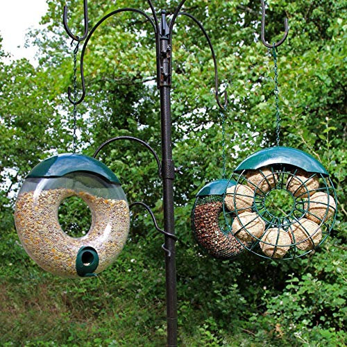 Easipet Hanging Wild Bird Feeder – Donut Shape, Pack of 3 – Ideal for Garden Birds, Easy to Fill & Hang