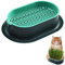 HONGECB Pflanzschalen Für Katzengras, Katzengras Schale, Katze Gras Pflanzer, Katzengras Pflanzkasten, Keimschale Für Anzucht Von Innen Oder Außen 18x12x4.5cm, Hydroponische Katze Gras Wachsen Kit