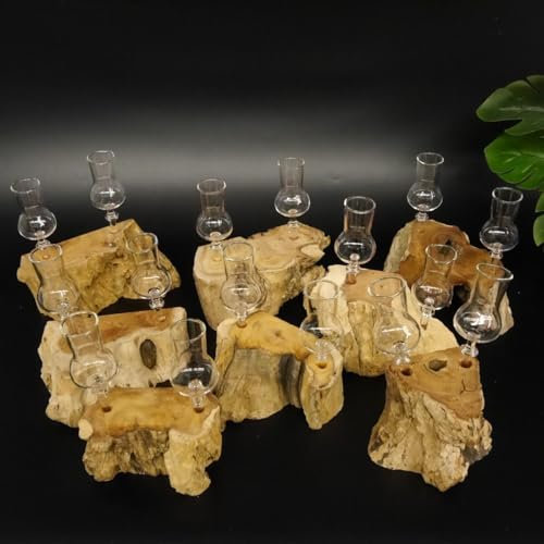 GTK - Geweihe & Trophäen KRUMHOLZ Schnapsanbieter 2 Gläser mit Stiel auf Wurzel Steckglas Set Schnaps Geschenk Neu 27.60.1.100