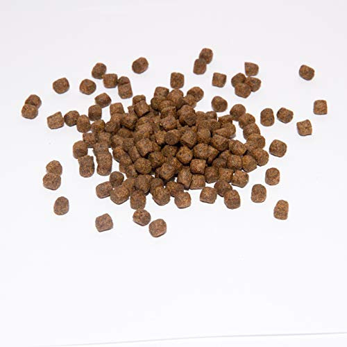 KOI - KOIFUTTER - Winter sinkend 5 kg / 5 mm Herbst & Winterfutter
