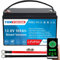 Tekvision Lithium LiFePO4 Akku 12V 100Ah Versorgung Batterie mit BMS Wohnmobil Boot Solaranlage Wohnwagen Solar Haushalt(12V 100Ah Smart)