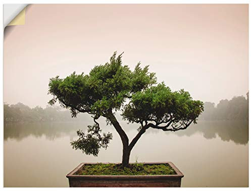 ARTland Wanddeko Wandtattoo selbstklebende Vinylfolie 120x90 cm Botanik Bäume Fotografie Grün Chinesischer Bonsaibaum T9IC