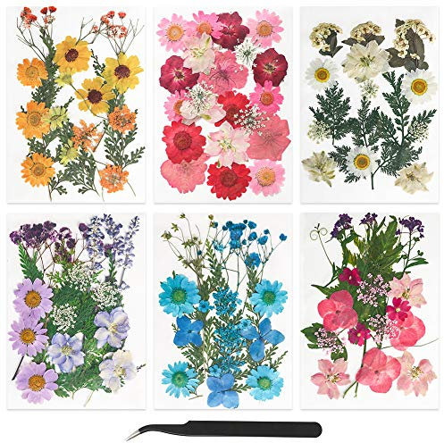 FHzytg 109 Stück Getrocknete Blumen, Gepresste Blüten Trockenblumen Epoxidharz Klein Trockenblumen Resin, Strohblumen zum Basteln Mini Dried Flowers Getrocknete Blumen für Kunstharz Schmuck