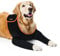 Dog Recovery Sleeve - Stop Licking, Cone Alternative, Scratch Resistant, Waterproof Wound Protector - Black, XS