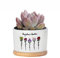 Pekdi Personalisierte Geburt Monat Blume Pflanze Topf, Omas Garten Blumentopf, Mom's Garden Sukkulenten Topf mit Geburt Monat Blume Mom Oma Geschenke für Mütter Tag