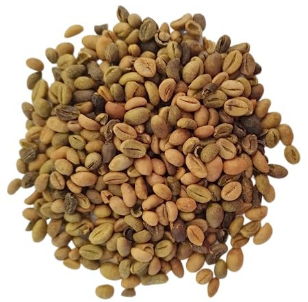 Café vert en grains Bio 5 kg