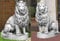 2 Löwen Set (S103037+S103038) Torwächter Gartenfiguren Statuen Steinguss 135 cm Figuren Tiere Deko Dekoration
