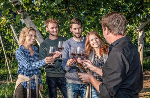 JOCHEN SCHWEIZER Geschenkgutschein: Weinbergwanderung & Weinprobe Raum Heidelberg für 2