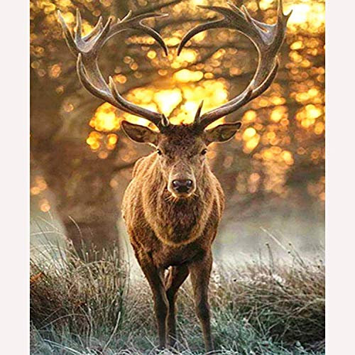OYIFTJ 5D Diamond Painting Cerf dans la forêt animal broderie diamant kit complet DIY 5D Diamant Peinture Strass Photos Point De Croix pour La Maison Décoration Murale 30x40cm