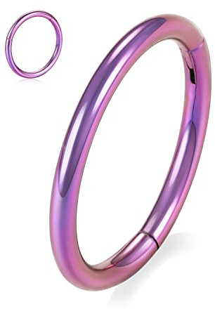 16G Nasenringe Hoop 316L Chirurgenstahl Nahtloser Clicker-Ring Higned Segment Hoop Nasenring Lila Septumringe Connch Hoop Ring Daith Ohrringe Tragus Knorpel Helix Ohrring Piercing Schmuck 8mm