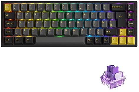 Akko 3068B Plus RGB Mechanical Gaming Keyboard, Multi Modes (BT5.0/2.4Ghz/Type C) Compact Keyboard with 5 Pin Hot Swappable, PBT Double Shot Cherry Keycaps, ISO Layout Programmable Macros