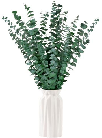 20 PCS Preserved Dried Eucalyptus Bundle 17'' Real Eucalyptus Stems 100% Natural Fresh Leaves Hanging Plants Greenery Stems for Shower Home Decor Flow