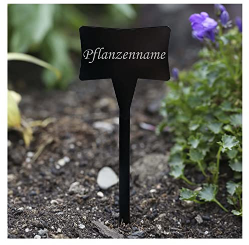 Bütic GmbH Acrylglas Pflanzschilder Slave schwarz - Gartenstecker, Kräuterschilder, Pflanzenstecker - Auswahl + Wunschname, Pflanzenname:Gladiolen