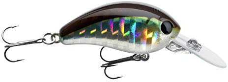 DAIWA Tournament Baby Crank Mini Wobbler 3 5cm kibinago 16710-707