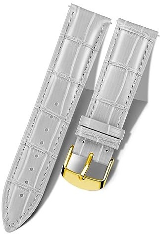 BINLUN Leder-Uhrenarmband 10mm-24mm Krokodilmuster Schnellverschluss Ersatz Kalbsleder Armbänder für Smartwatch Herren & Damen 13 Größen Silber/Gold/Roségold Schnalle (Gold Schnalle,grau,12mm)