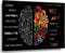 Busmko The Brain Poster, Kunst, Wanddekoration, Leinwanddrucke, linke und rechte Gehirnfunktion, Anatomie, schwarze Poster, modernes Gemälde, Bild für Büro, ungerahmt, Größe 40x60 cm