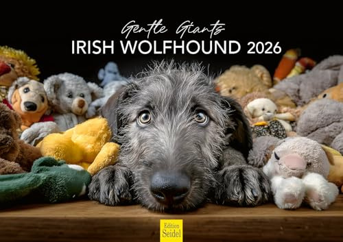 Edition Seidel Premium Kalender Irish Wolfshound 2026 DIN A3 Wandkalender Tierkalender Hundekalender Hunde Welpe Tierkinder Hunderasse Haustier