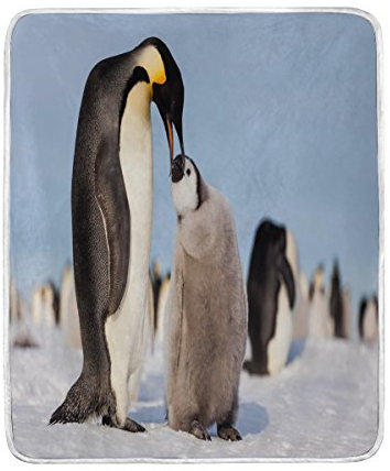 Use7 Wohndekoration, Winterdecke mit Pinguin-Motiv, weich, warm, für Bett, Couch Sofa, leicht, für Reisen, Camping, 127 cm x 152,4 cm, Überwurf, Größe für Kinder, Jungen und Frauen