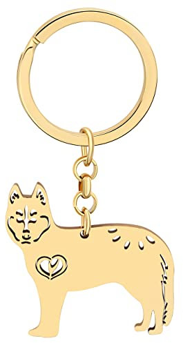 LONYOO Edelstahl niedlichen Hund Schlüsselanhänger Haustiere Hund Geschenke für Hundeliebhaber Frauen Mädchen Welpe Ringe Auto Schlüssel Geldbörse Charms (Vergoldet Husky)