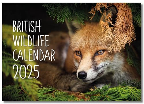 2025 A4 British Wildlife Calendar UK. One Month to View. A3 when open. Wall Calendar by Absolutely Yours.
