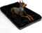 ALANMOND Hundebett Grosse Hunde, Hundekissen flauschig Hundematte mittelgroße Hunde, Waschbar Hundekorb wasserdicht rutschfeste, atmungsaktiv, Haustierbett Hundematratze Schwarz 122x76 cm