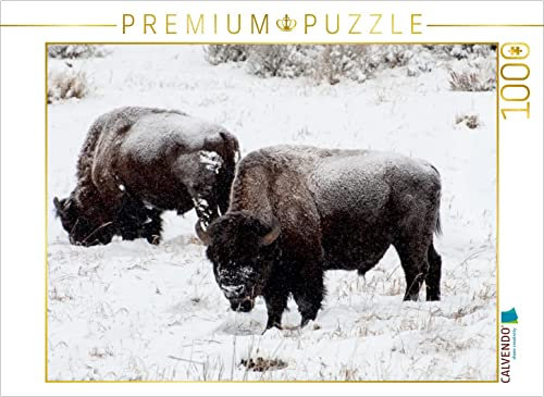 CALVENDO Puzzle Bisons am Blacktail Plateau 1000 Teile Puzzle quer | 1000 Teile Lege-Größe 64 x 48 cm Foto-Puzzle für glückliche Stunden